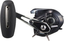 Daiwa Baitcasting Reel 25 TIERRA IC 300L-C Left 6.3:1 Fishing Reel IN BOX