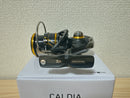Daiwa Spinning Reel 21 CALDIA LT2500 IN BOX