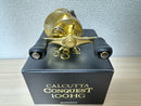 Shimano Baitcasting Reel 15 CALCUTTA CONQUEST 100HG RH 5RH821100 IN BOX