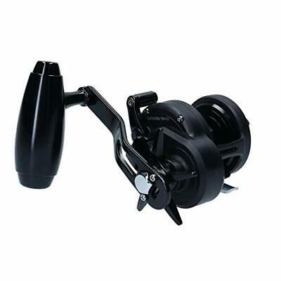 DAIWA Jigging Bait Reel Catalina 15H-SJ Fishing Outdoor Wallasa Inada Yellowtail