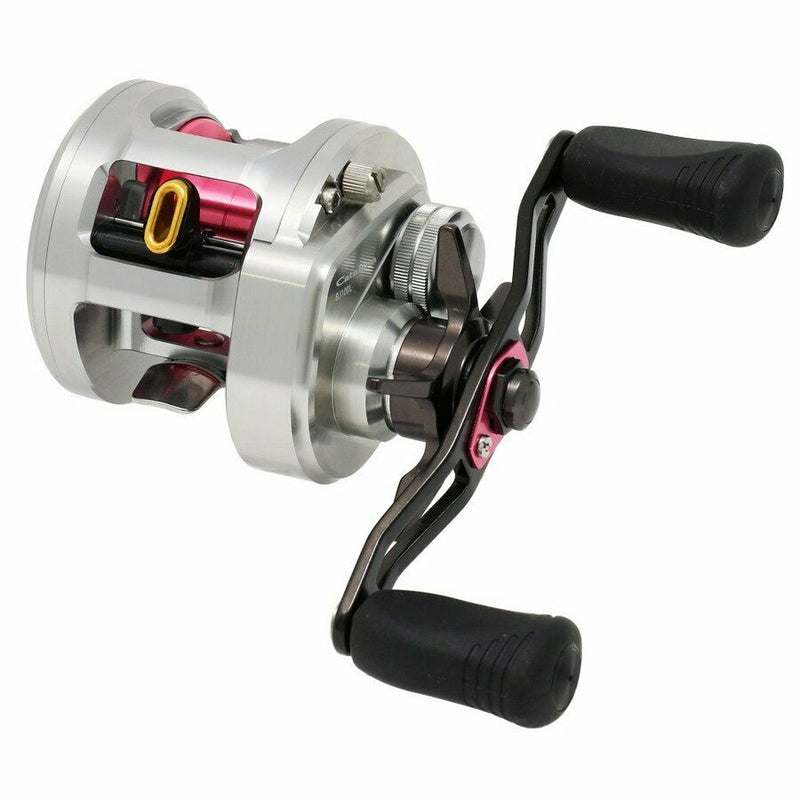 daiwa catalina bay jigging reel DAIWA Reel 15 Catalina BJ 100PL-RM Fishing genuine From Japan