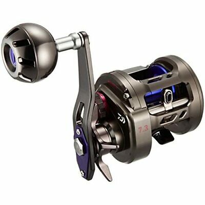 Daiwa Baitcasting Reel 17 SALTIGA BJ 200-SH